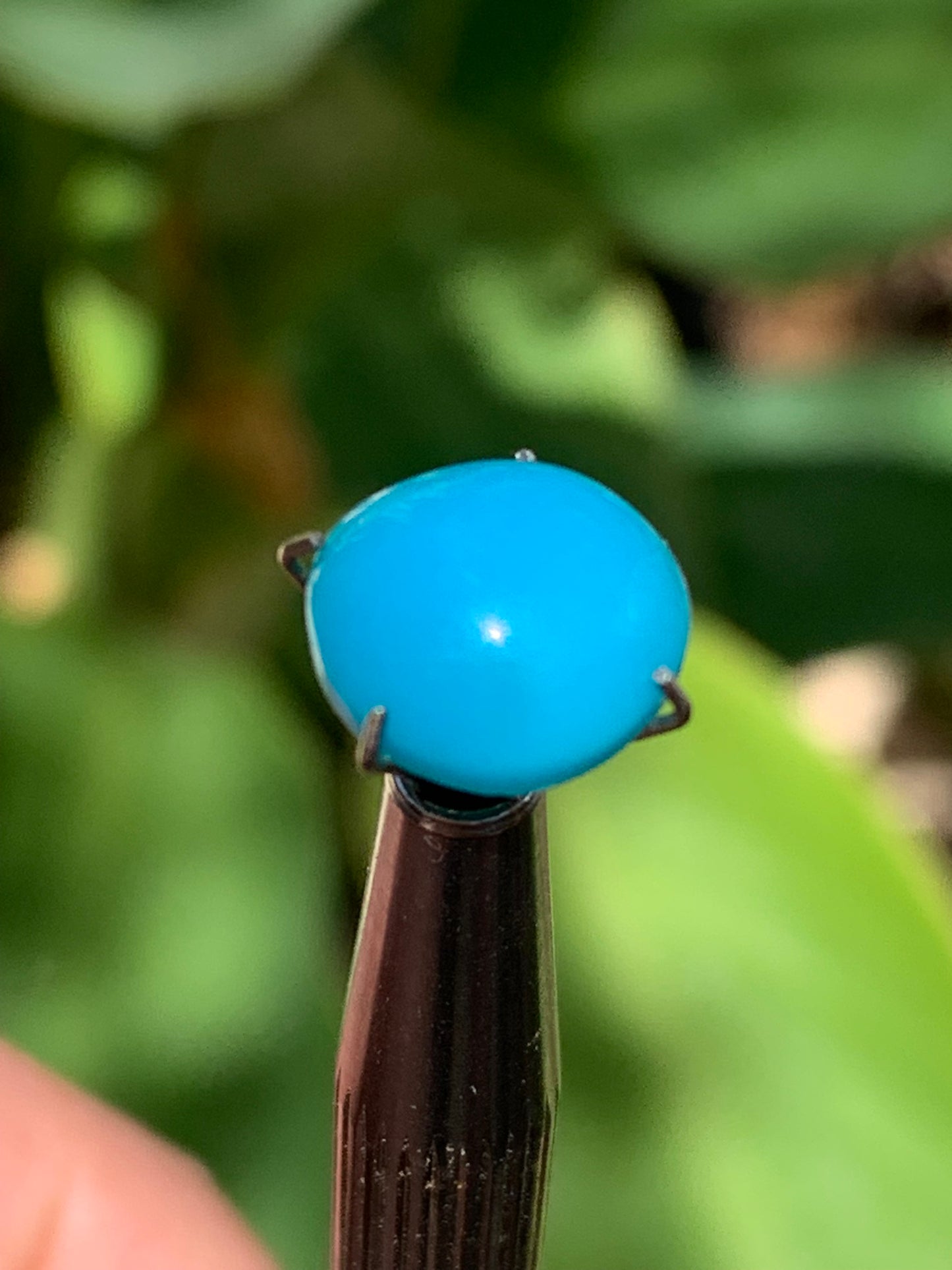 Turquoise, cabochon AAA de 10mm x10 x5 - 3,5 carats. Parfait en bijouterie, collection ,exposition...