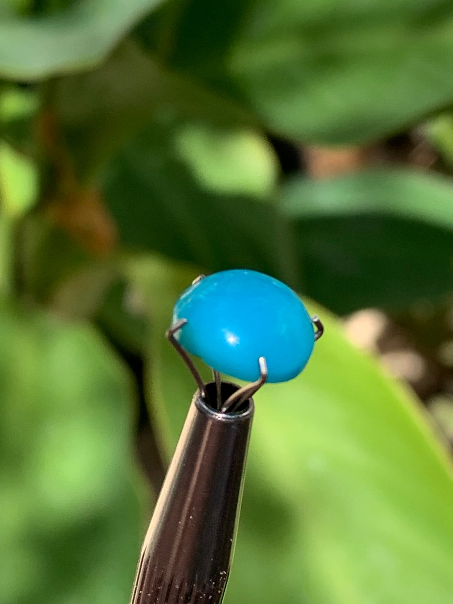 Turquoise, cabochon AAA de 10mm x10 x5 - 3,5 carats. Parfait en bijouterie, collection ,exposition...