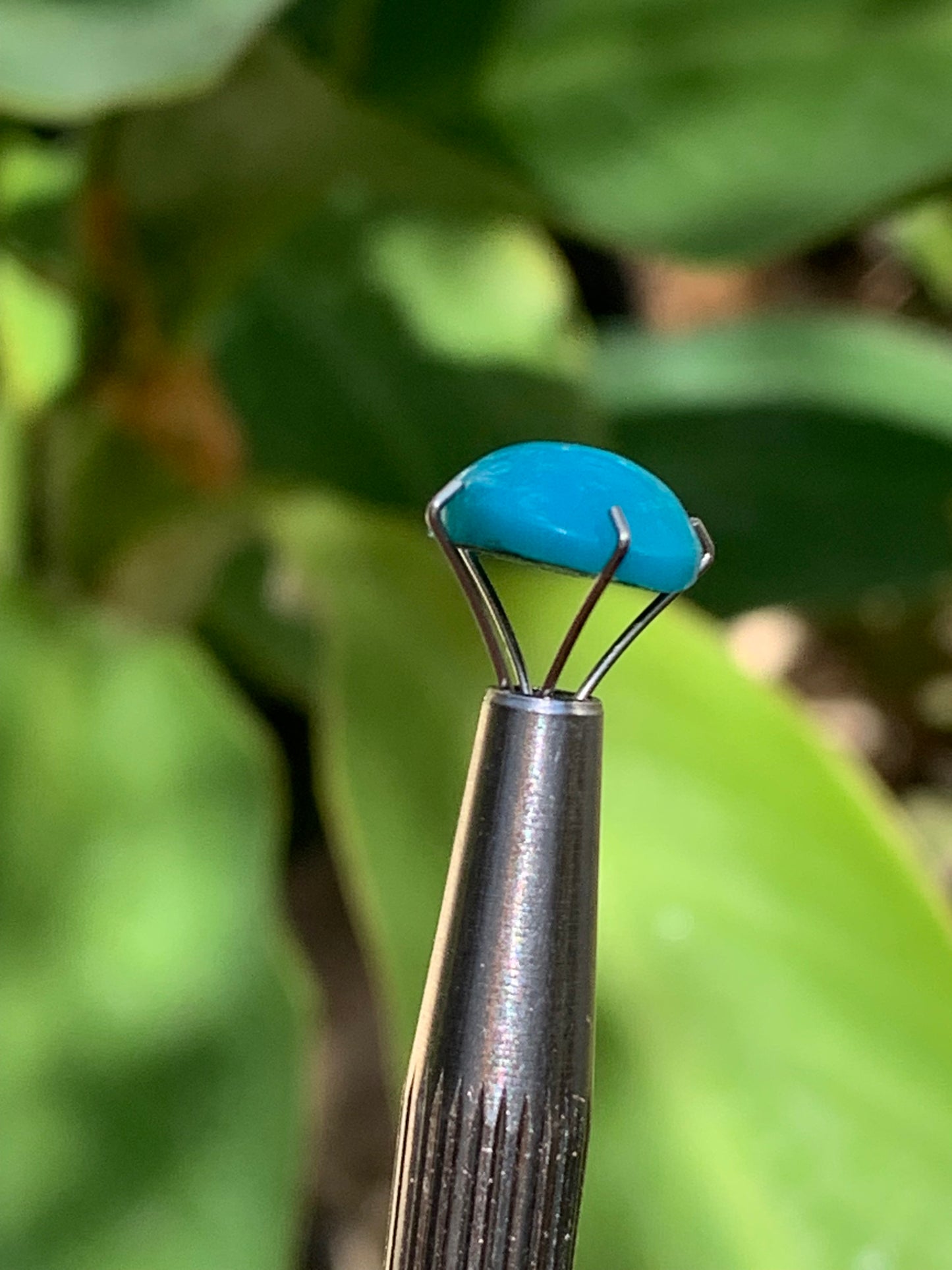 Turquoise, cabochon AAA de 10mm x10 x5 - 3,5 carats. Parfait en bijouterie, collection ,exposition...