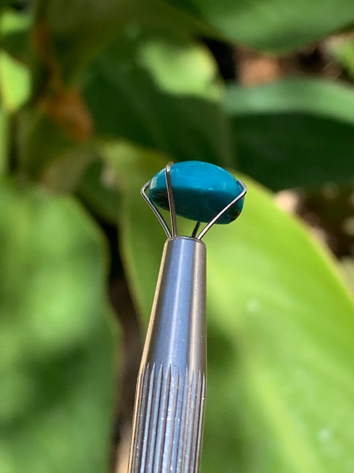 Turquoise, cabochon AAA de 10mm x10 x5 - 3,5 carats. Parfait en bijouterie, collection ,exposition...