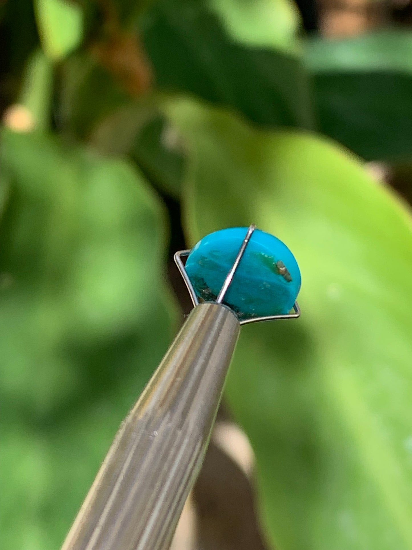 Turquoise, cabochon AAA de 10mm x10 x5 - 3,5 carats. Parfait en bijouterie, collection ,exposition...