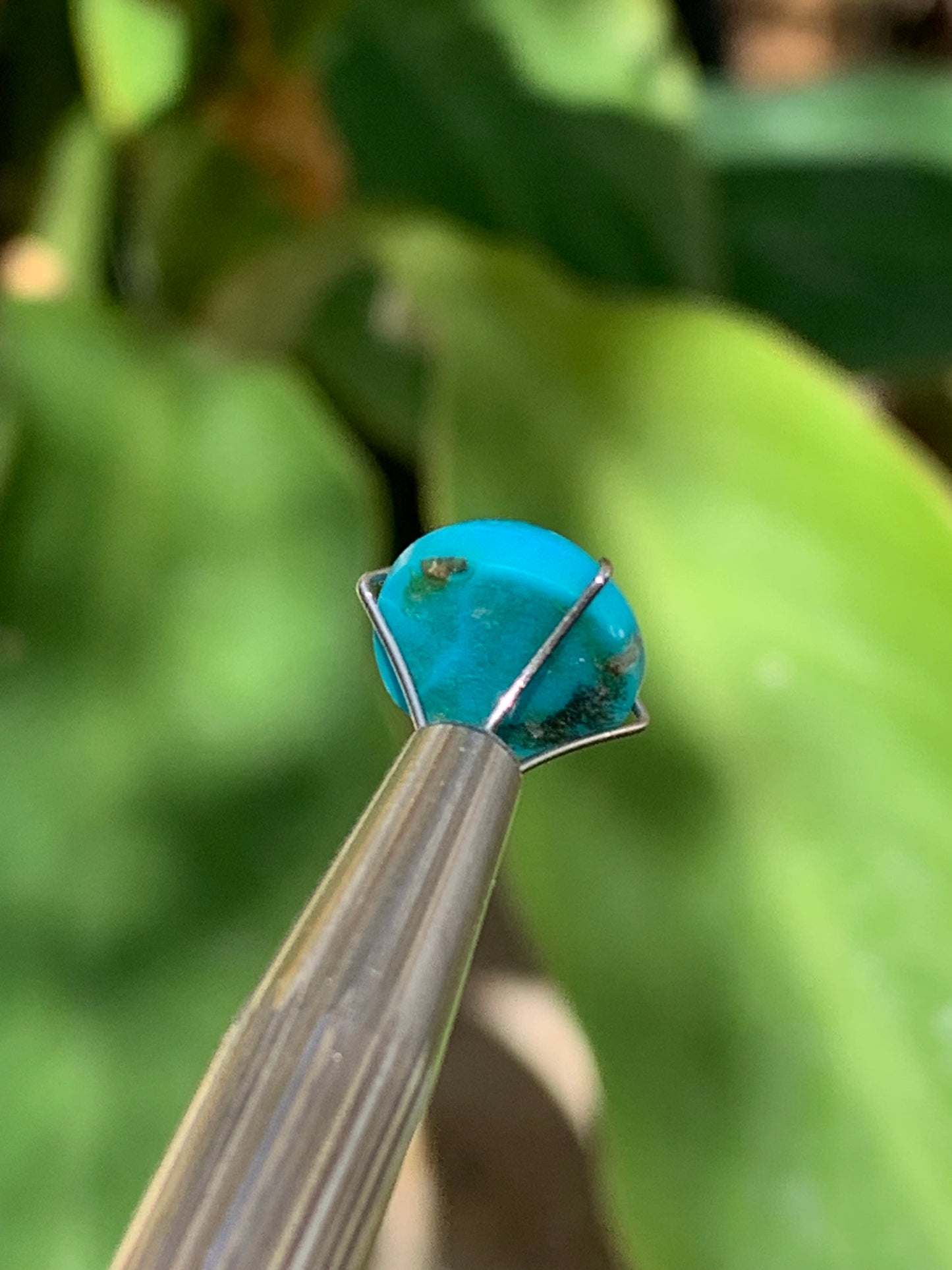 Turquoise, cabochon AAA de 10mm x10 x5 - 3,5 carats. Parfait en bijouterie, collection ,exposition...