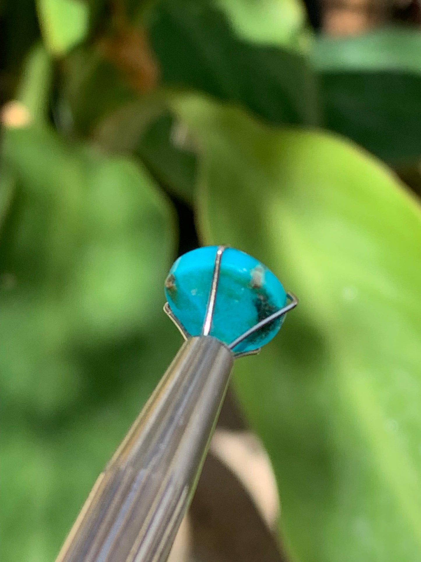 Turquoise, cabochon AAA de 10mm x10 x5 - 3,5 carats. Parfait en bijouterie, collection ,exposition...