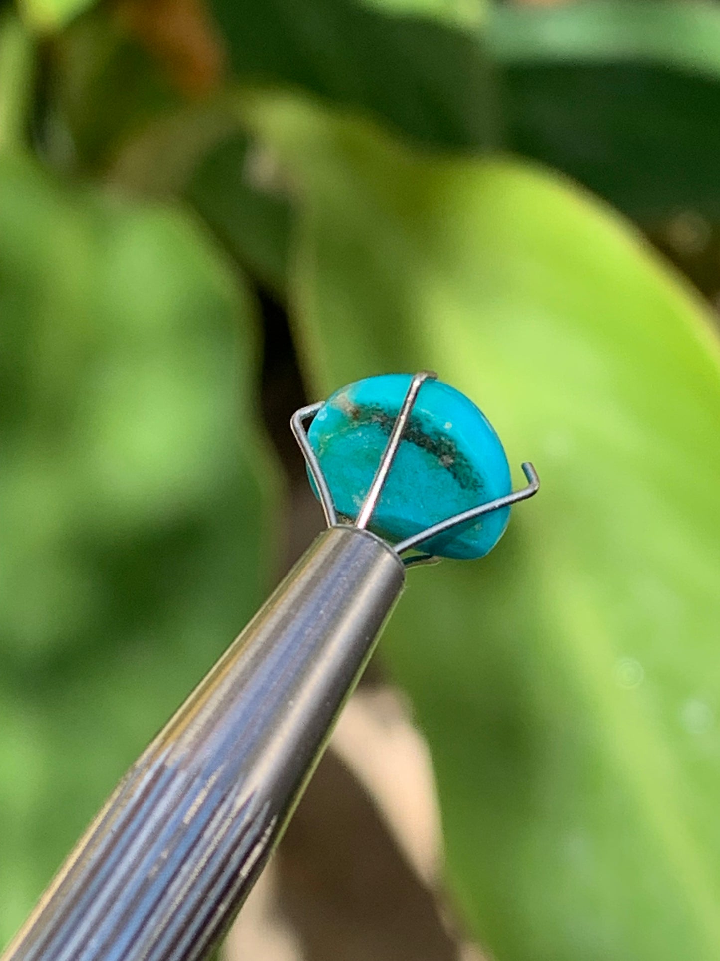 Turquoise, cabochon AAA de 10mm x10 x5 - 3,5 carats. Parfait en bijouterie, collection ,exposition...