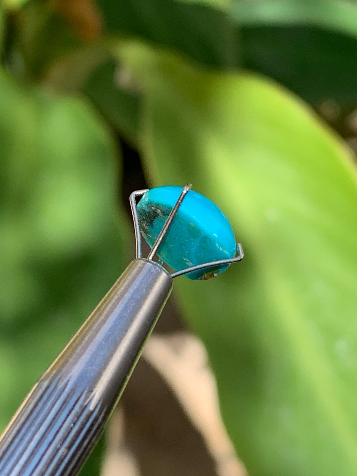 Turquoise, cabochon AAA de 10mm x10 x5 - 3,5 carats. Parfait en bijouterie, collection ,exposition...