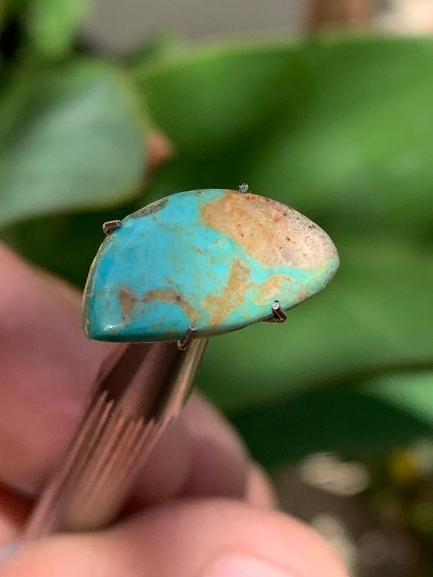 Turquoise, cabochon de 17mm x10 x2 - 2 carats. Parfait en bijouterie, collection ,exposition...