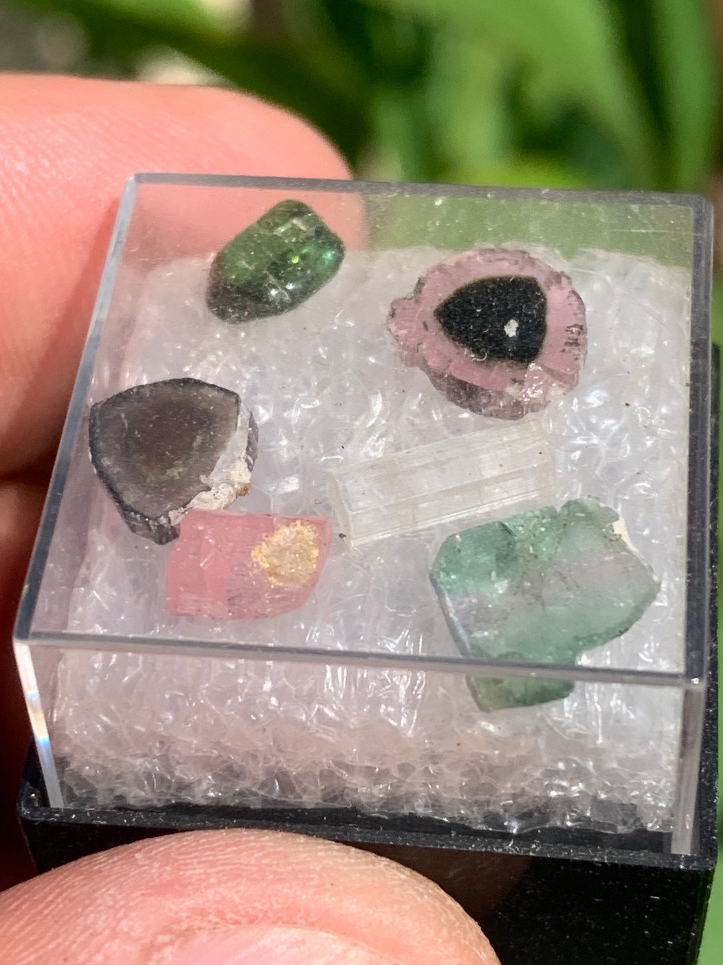 Tourmaline, coffret collection de 6 pièces de 7mm x7 x2 environ - 6,5 carats. Parfait en bijouterie, collection ,exposition...