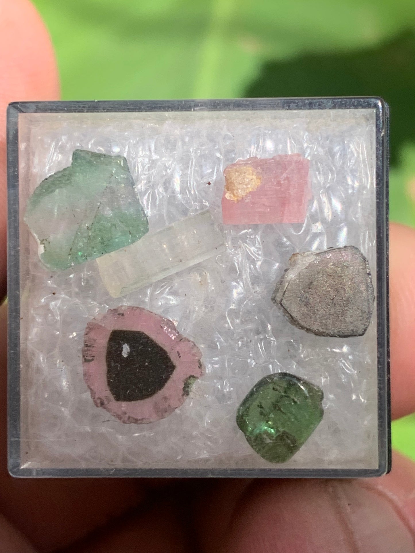 Tourmaline, coffret collection de 6 pièces de 7mm x7 x2 environ - 6,5 carats. Parfait en bijouterie, collection ,exposition...