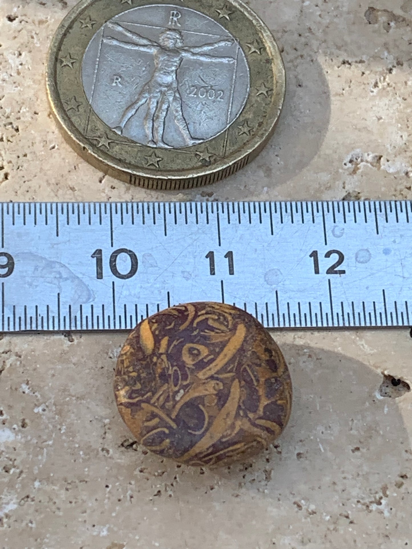 Stromatolite, cabochon de 16mm x16 x6 - 11,5 carats. Parfait en bijouterie, collection ,exposition...