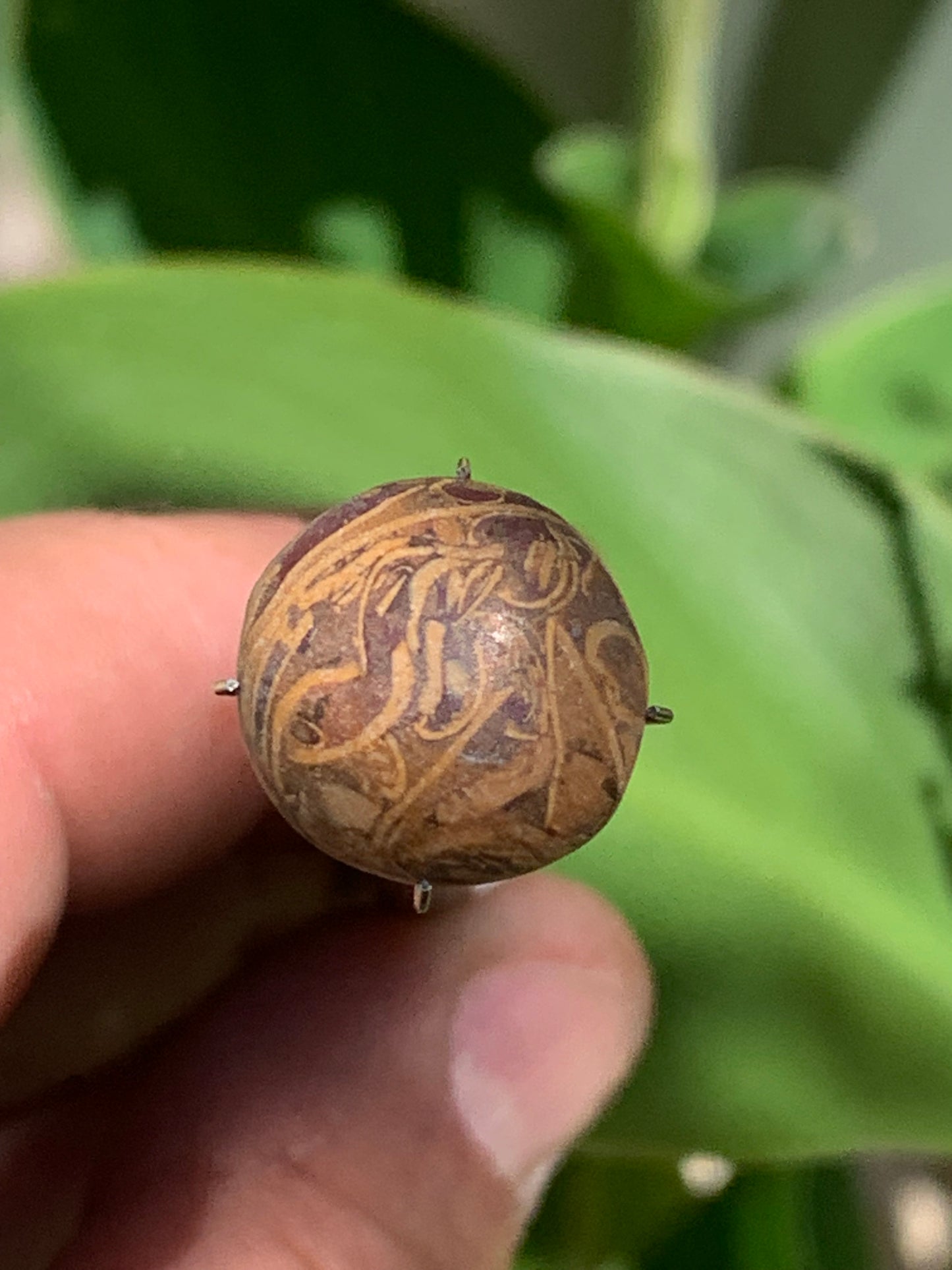 Stromatolite, cabochon de 16mm x16 x6 - 11,5 carats. Parfait en bijouterie, collection ,exposition...