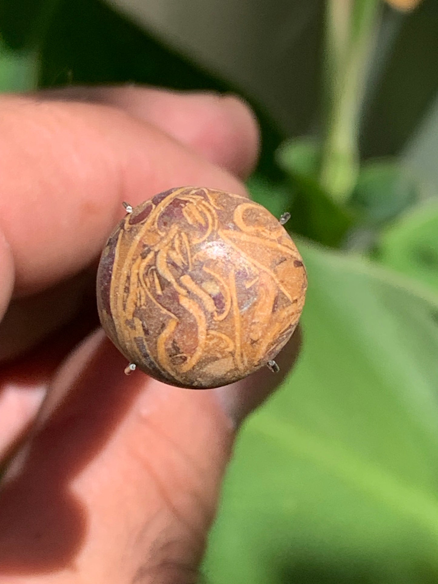 Stromatolite, cabochon de 16mm x16 x6 - 11,5 carats. Parfait en bijouterie, collection ,exposition...