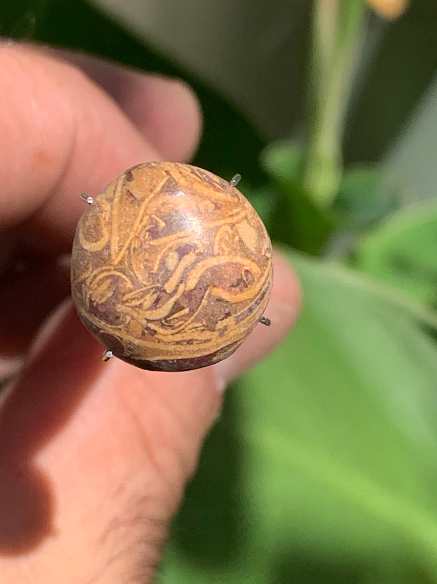 Stromatolite, cabochon de 16mm x16 x6 - 11,5 carats. Parfait en bijouterie, collection ,exposition...