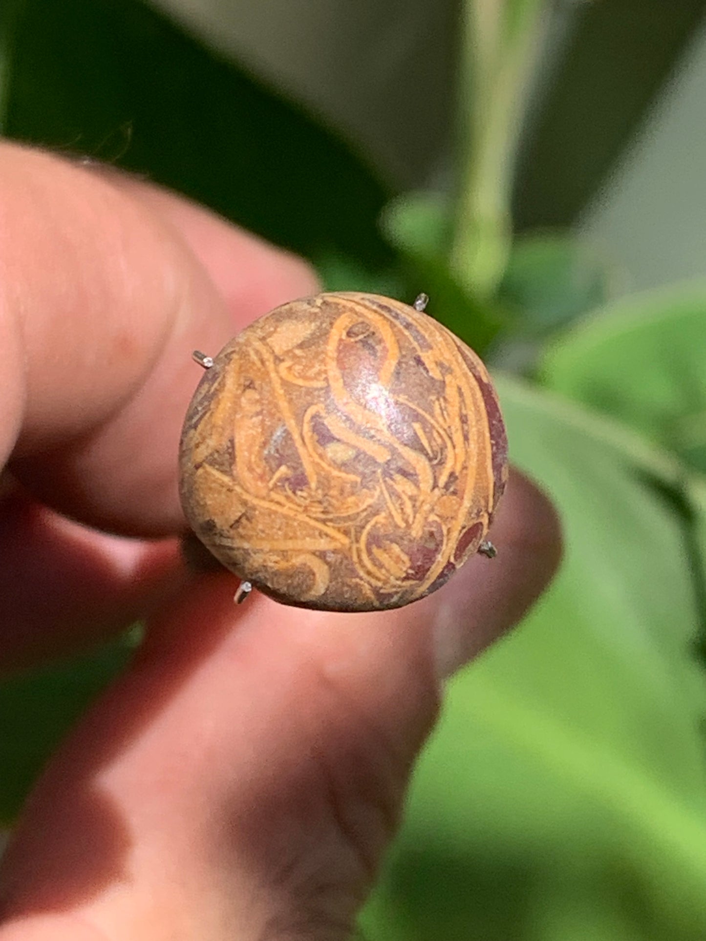 Stromatolite, cabochon de 16mm x16 x6 - 11,5 carats. Parfait en bijouterie, collection ,exposition...