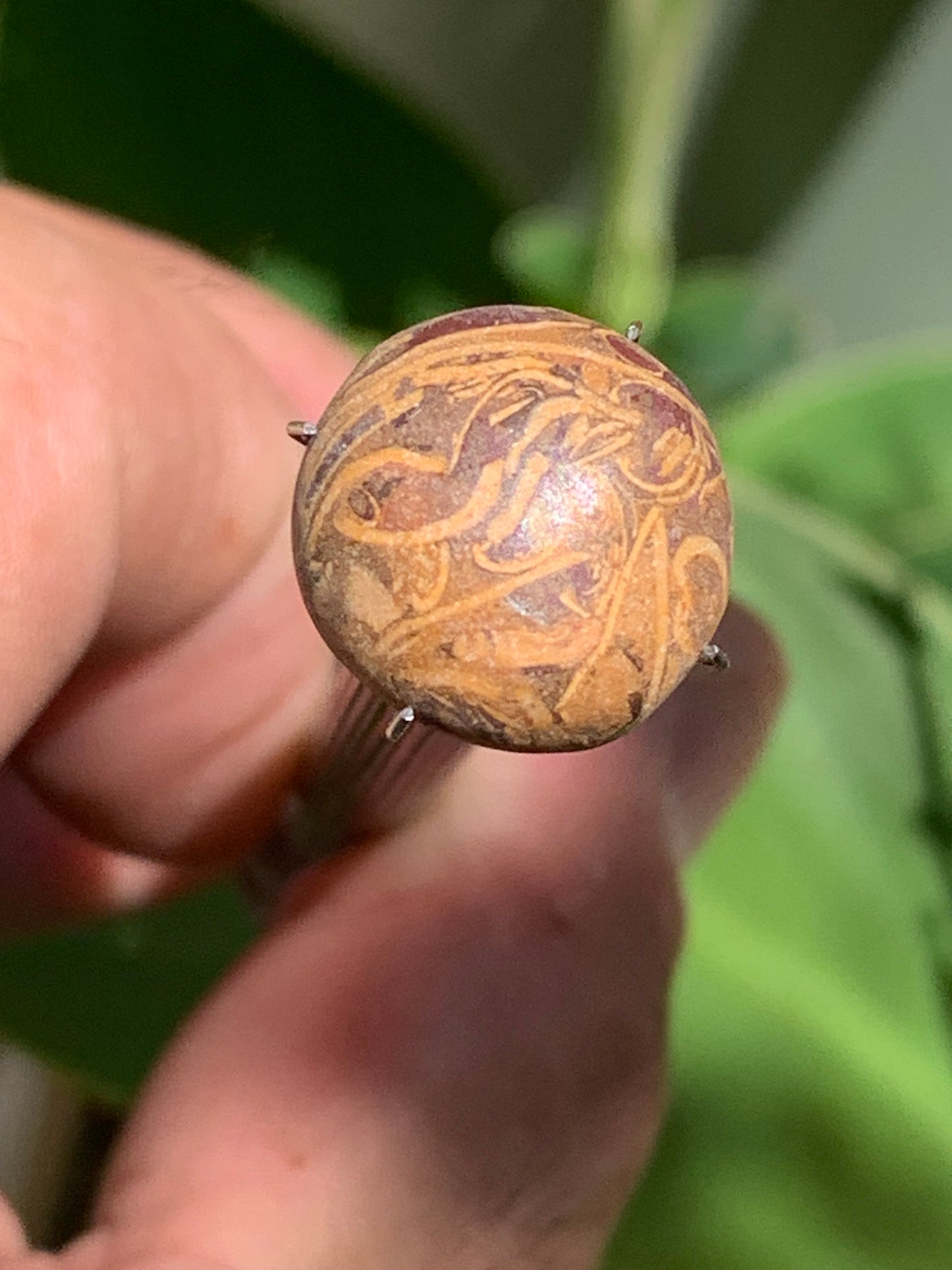 Stromatolite, cabochon de 16mm x16 x6 - 11,5 carats. Parfait en bijouterie, collection ,exposition...