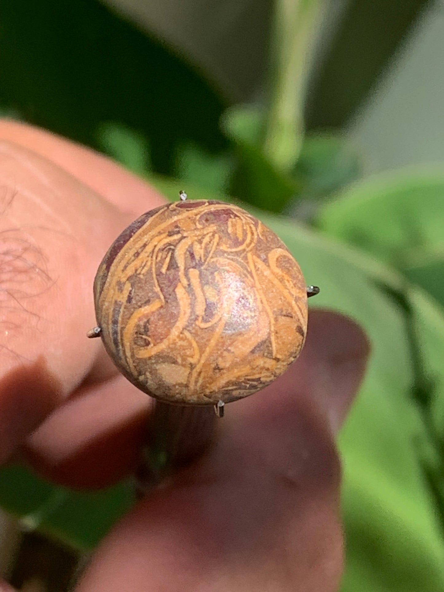 Stromatolite, cabochon de 16mm x16 x6 - 11,5 carats. Parfait en bijouterie, collection ,exposition...