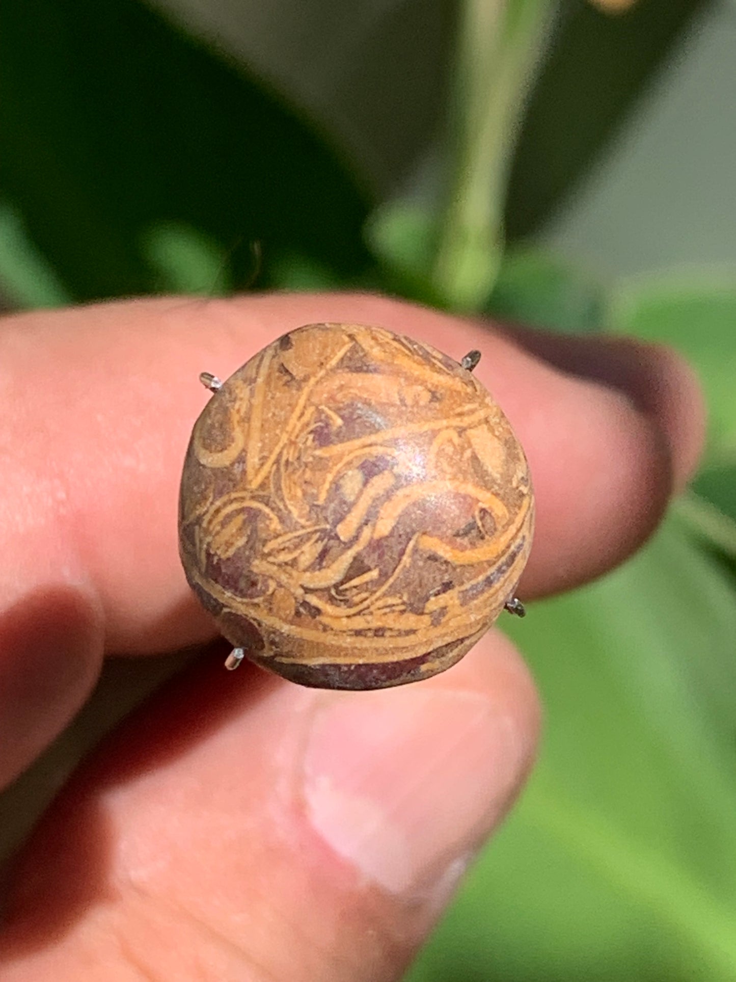 Stromatolite, cabochon de 16mm x16 x6 - 11,5 carats. Parfait en bijouterie, collection ,exposition...