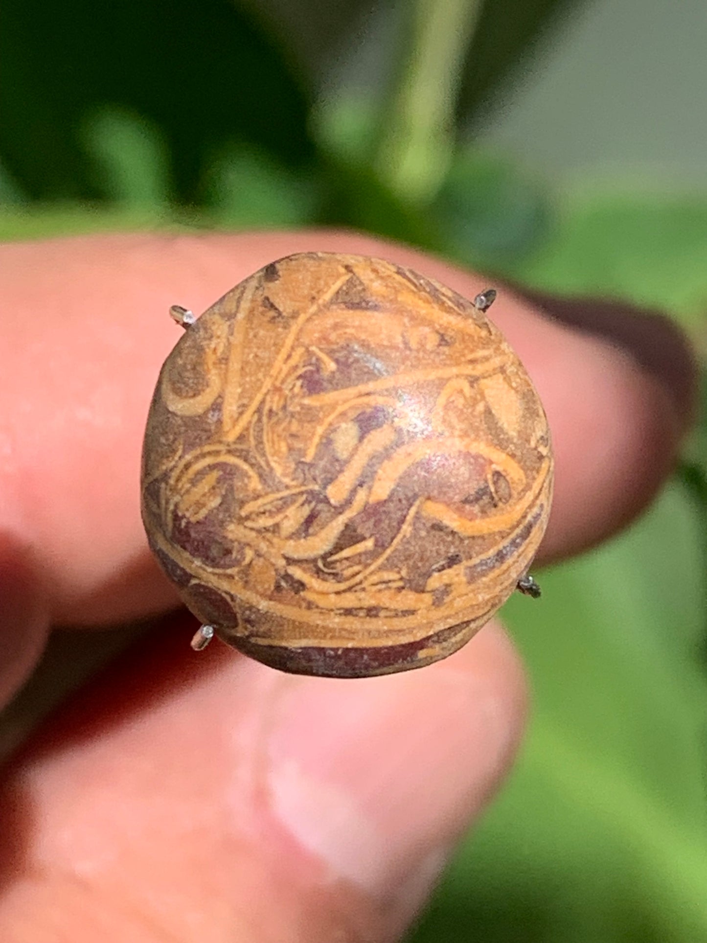 Stromatolite, cabochon de 16mm x16 x6 - 11,5 carats. Parfait en bijouterie, collection ,exposition...