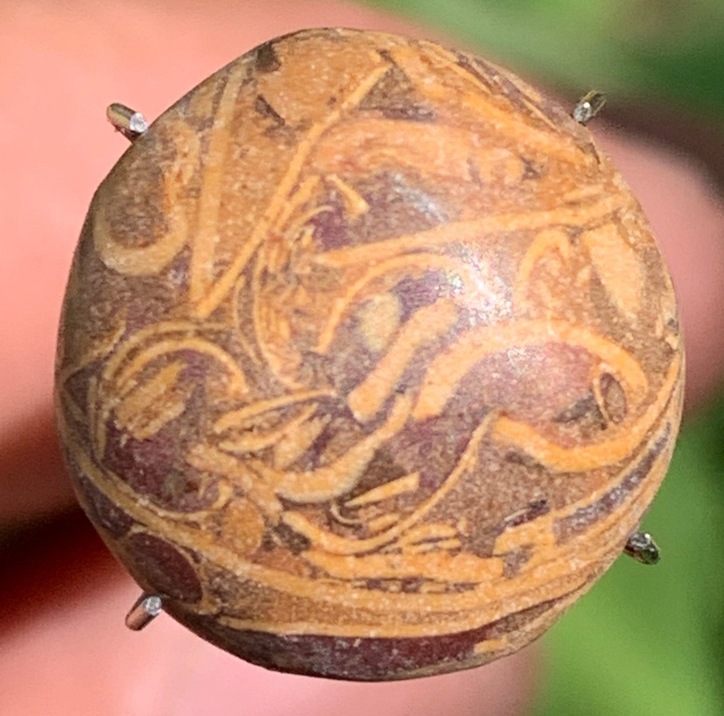 Stromatolite, cabochon de 16mm x16 x6 - 11,5 carats. Parfait en bijouterie, collection ,exposition...