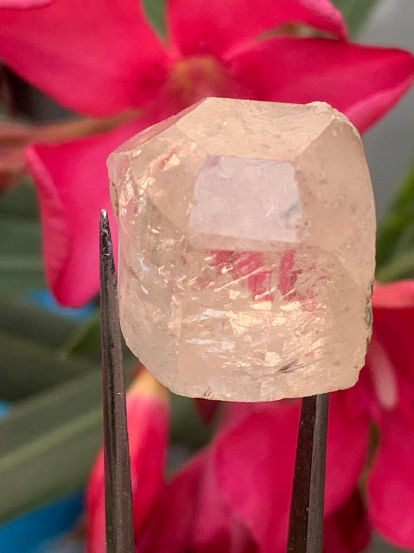 Topaze Impériale, superbe cristal naturel de 21mm x18 x12 - 11 grammes/ 55 carats. Belle pièce de collection, unique et assez rare sur le marché !