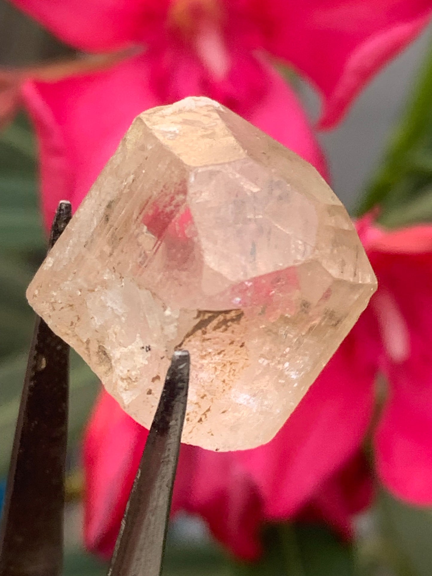 Topaze Impériale, superbe cristal naturel de 21mm x18 x12 - 11 grammes/ 55 carats. Belle pièce de collection, unique et assez rare sur le marché !