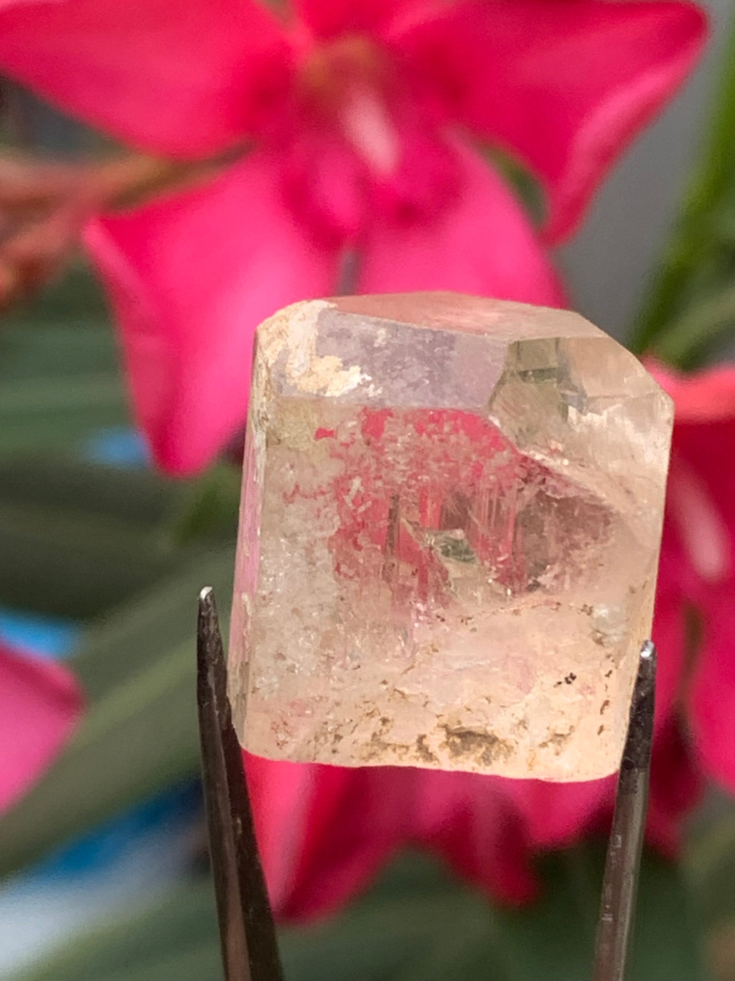 Topaze Impériale, superbe cristal naturel de 21mm x18 x12 - 11 grammes/ 55 carats. Belle pièce de collection, unique et assez rare sur le marché !