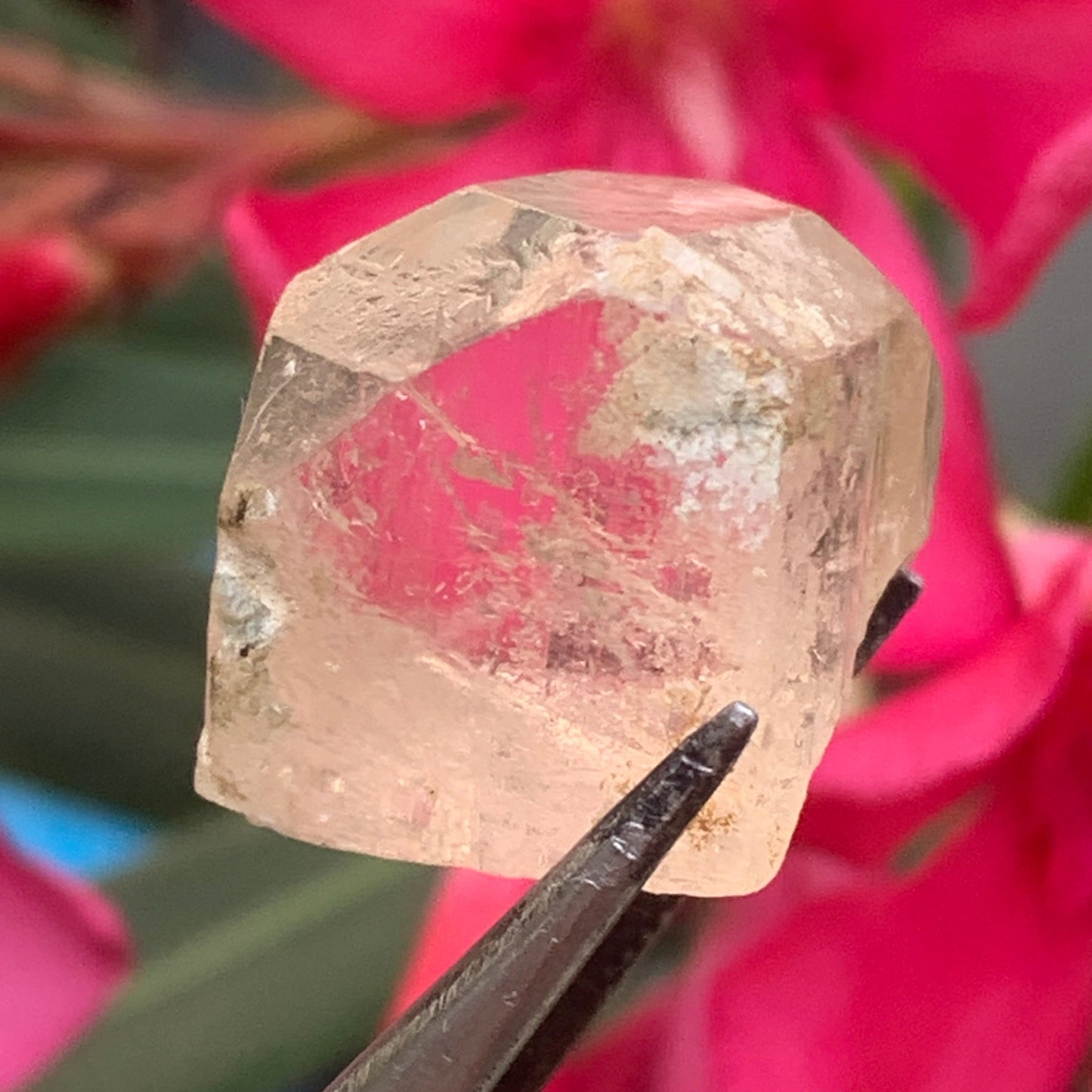 Topaze Impériale, superbe cristal naturel de 21mm x18 x12 - 11 grammes/ 55 carats. Belle pièce de collection, unique et assez rare sur le marché !
