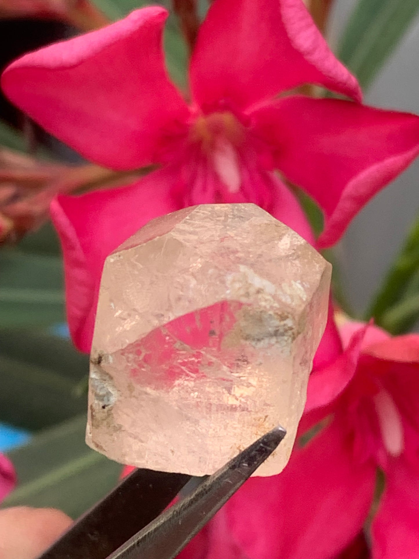 Topaze Impériale, superbe cristal naturel de 21mm x18 x12 - 11 grammes/ 55 carats. Belle pièce de collection, unique et assez rare sur le marché !