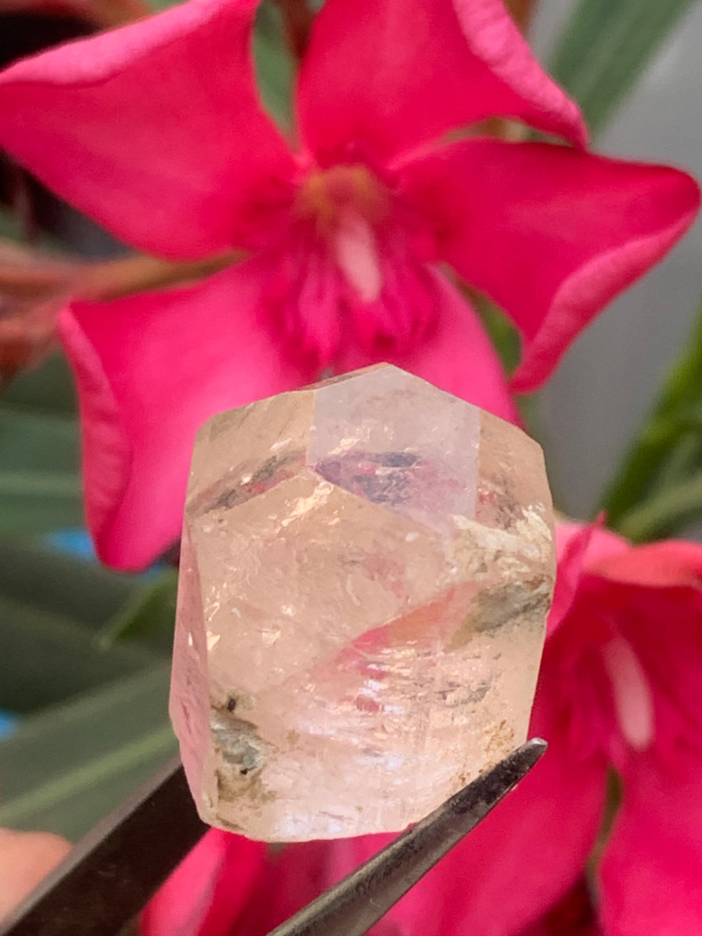 Topaze Impériale, superbe cristal naturel de 21mm x18 x12 - 11 grammes/ 55 carats. Belle pièce de collection, unique et assez rare sur le marché !