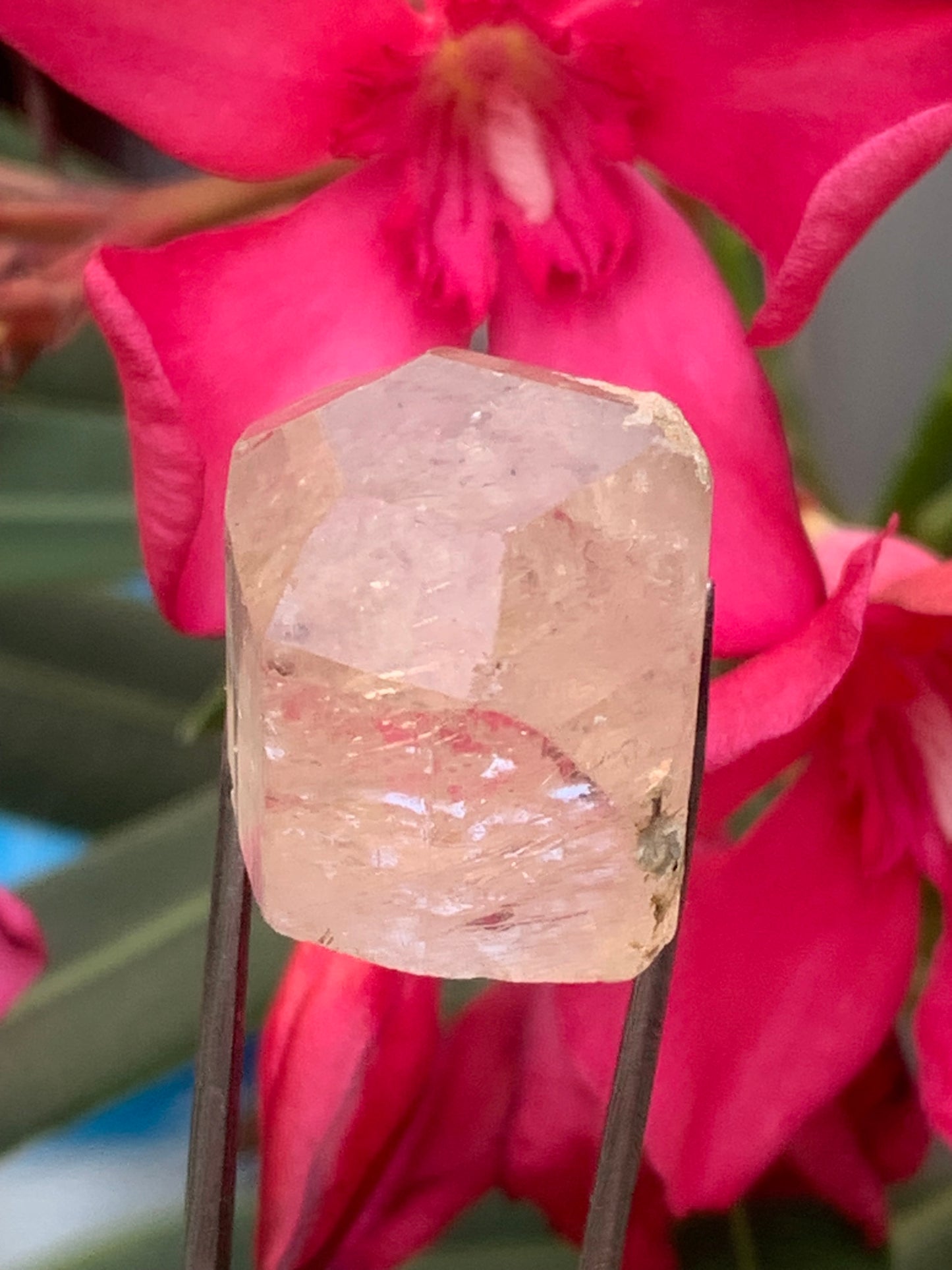 Topaze Impériale, superbe cristal naturel de 21mm x18 x12 - 11 grammes/ 55 carats. Belle pièce de collection, unique et assez rare sur le marché !