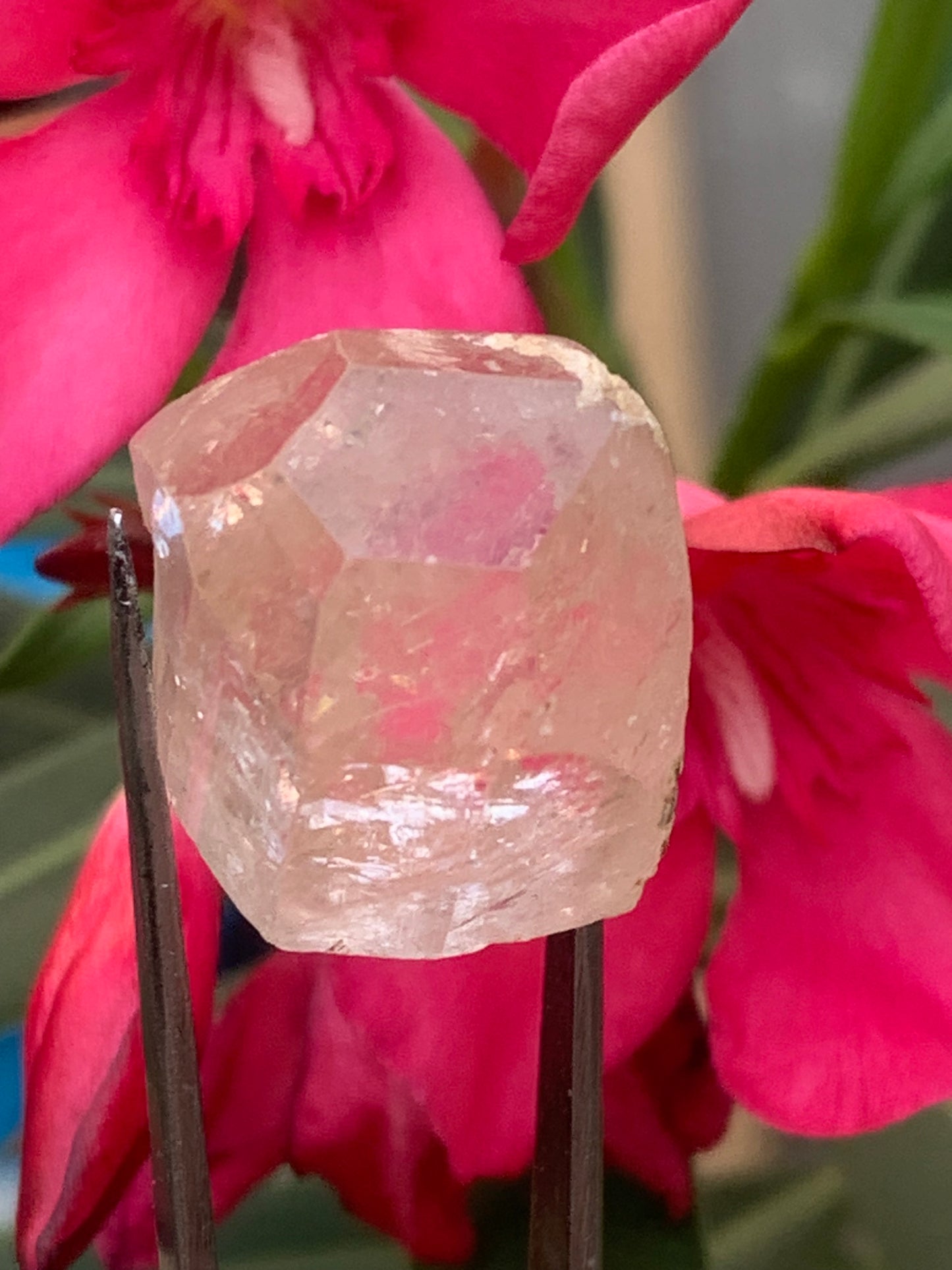 Topaze Impériale, superbe cristal naturel de 21mm x18 x12 - 11 grammes/ 55 carats. Belle pièce de collection, unique et assez rare sur le marché !