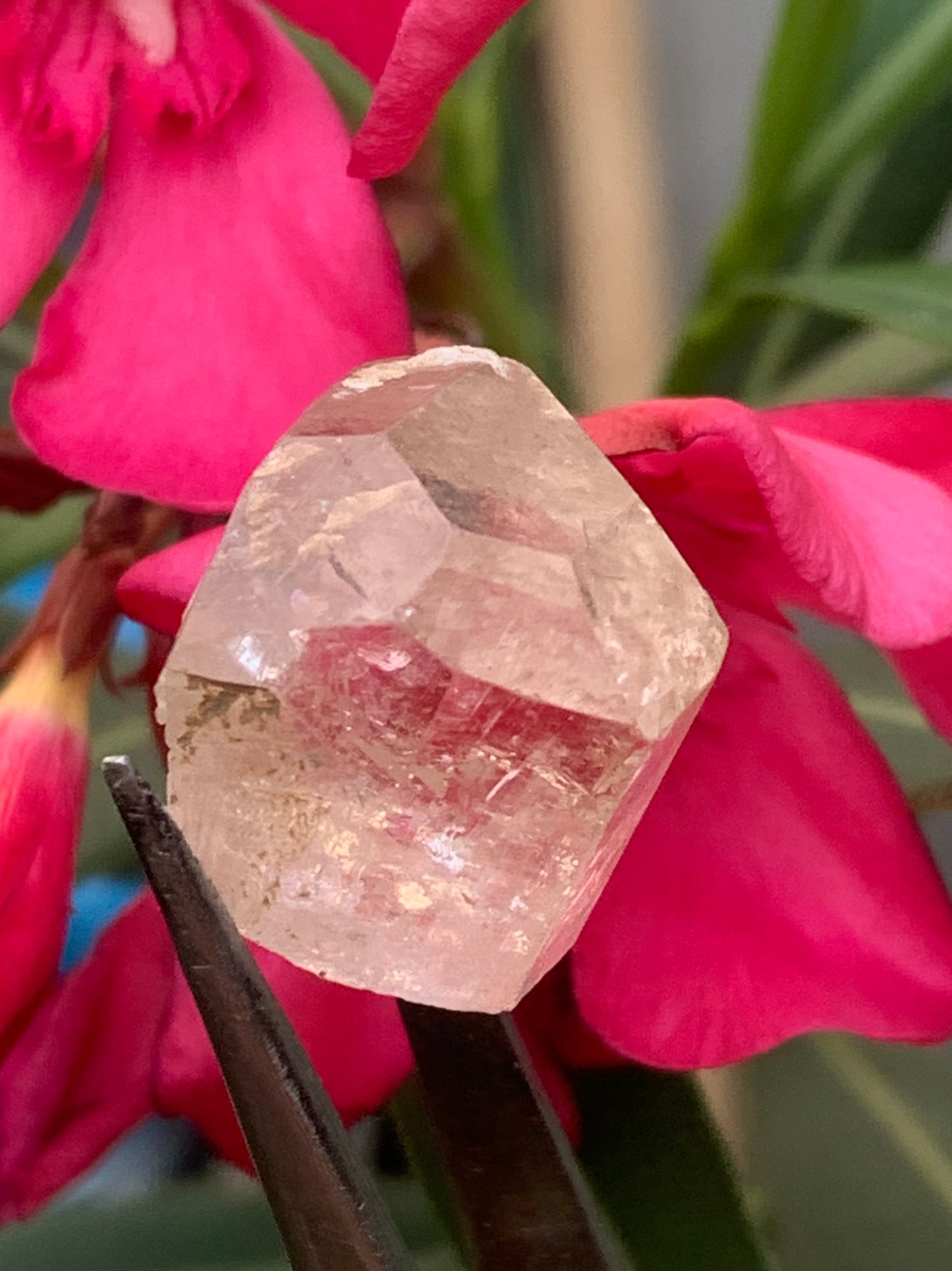 Topaze Impériale, superbe cristal naturel de 21mm x18 x12 - 11 grammes/ 55 carats. Belle pièce de collection, unique et assez rare sur le marché !