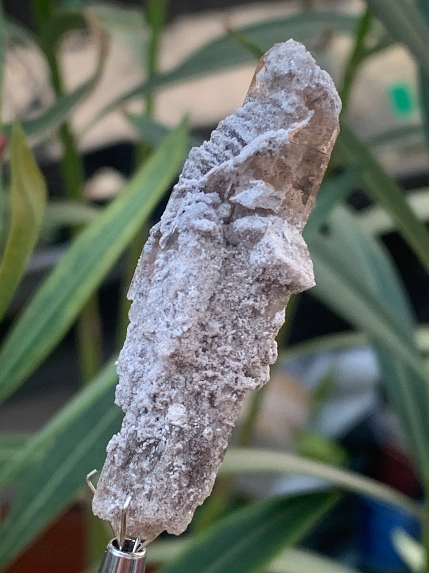 Topaze Impériale, superbe cristal naturel de 55mm x18 x15 - 13,1 grammes. Belle pièce de collection, unique et assez rare !