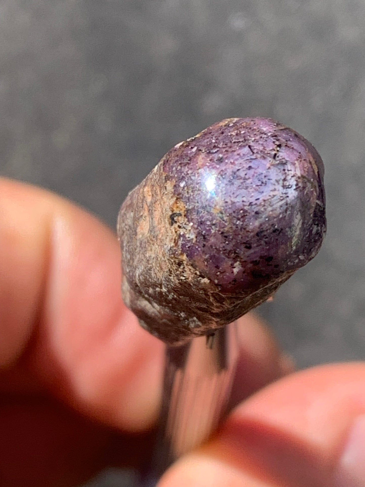 Rubis étoilé semi poli, de 29mm x12 x12 - 11 grammes. Parfait en bijouterie, collection ,exposition...
