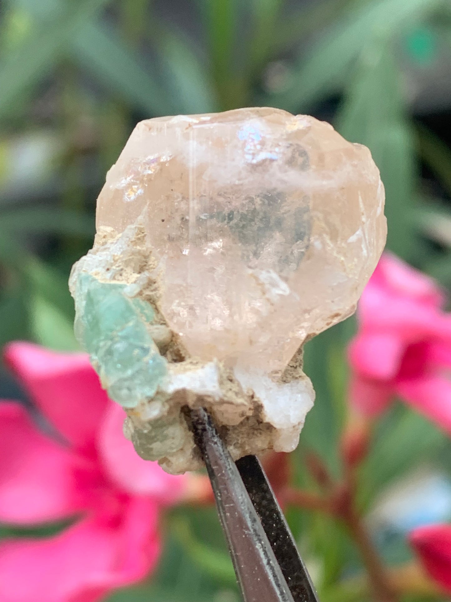 Topaze Impériale avec Aigue-marine, superbe cristal naturel de 25mm x18 x18 - 11,2 grammes. Belle pièce de collection, unique et assez rare !