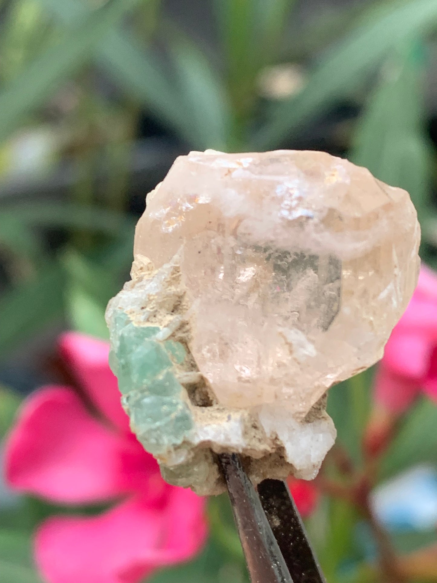 Topaze Impériale avec Aigue-marine, superbe cristal naturel de 25mm x18 x18 - 11,2 grammes. Belle pièce de collection, unique et assez rare !