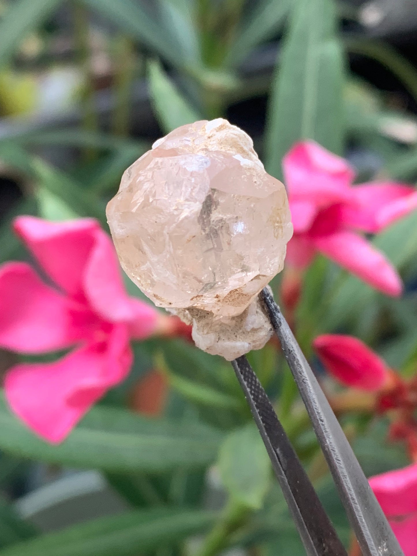 Topaze Impériale avec Aigue-marine, superbe cristal naturel de 25mm x18 x18 - 11,2 grammes. Belle pièce de collection, unique et assez rare !