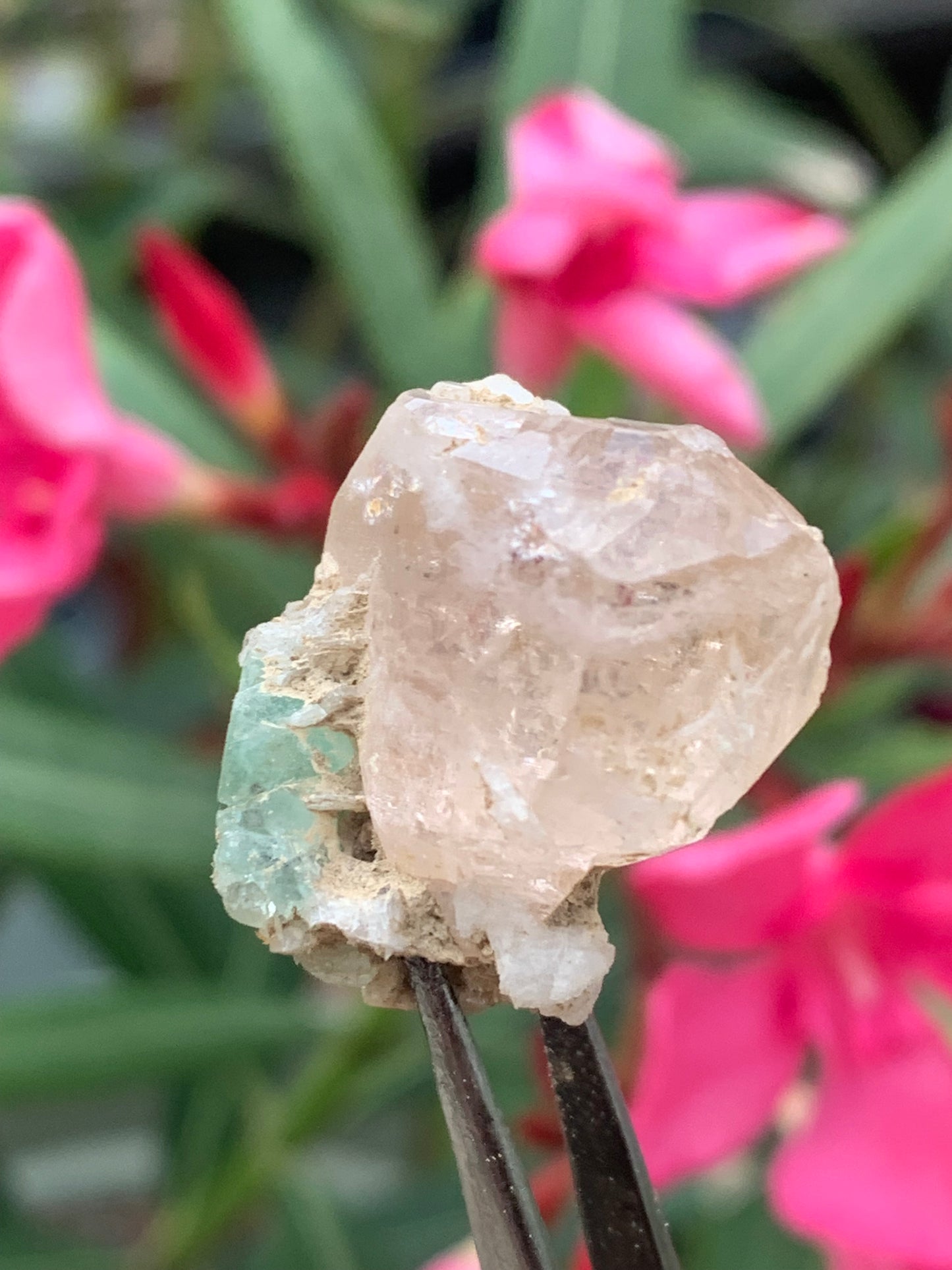Topaze Impériale avec Aigue-marine, superbe cristal naturel de 25mm x18 x18 - 11,2 grammes. Belle pièce de collection, unique et assez rare !