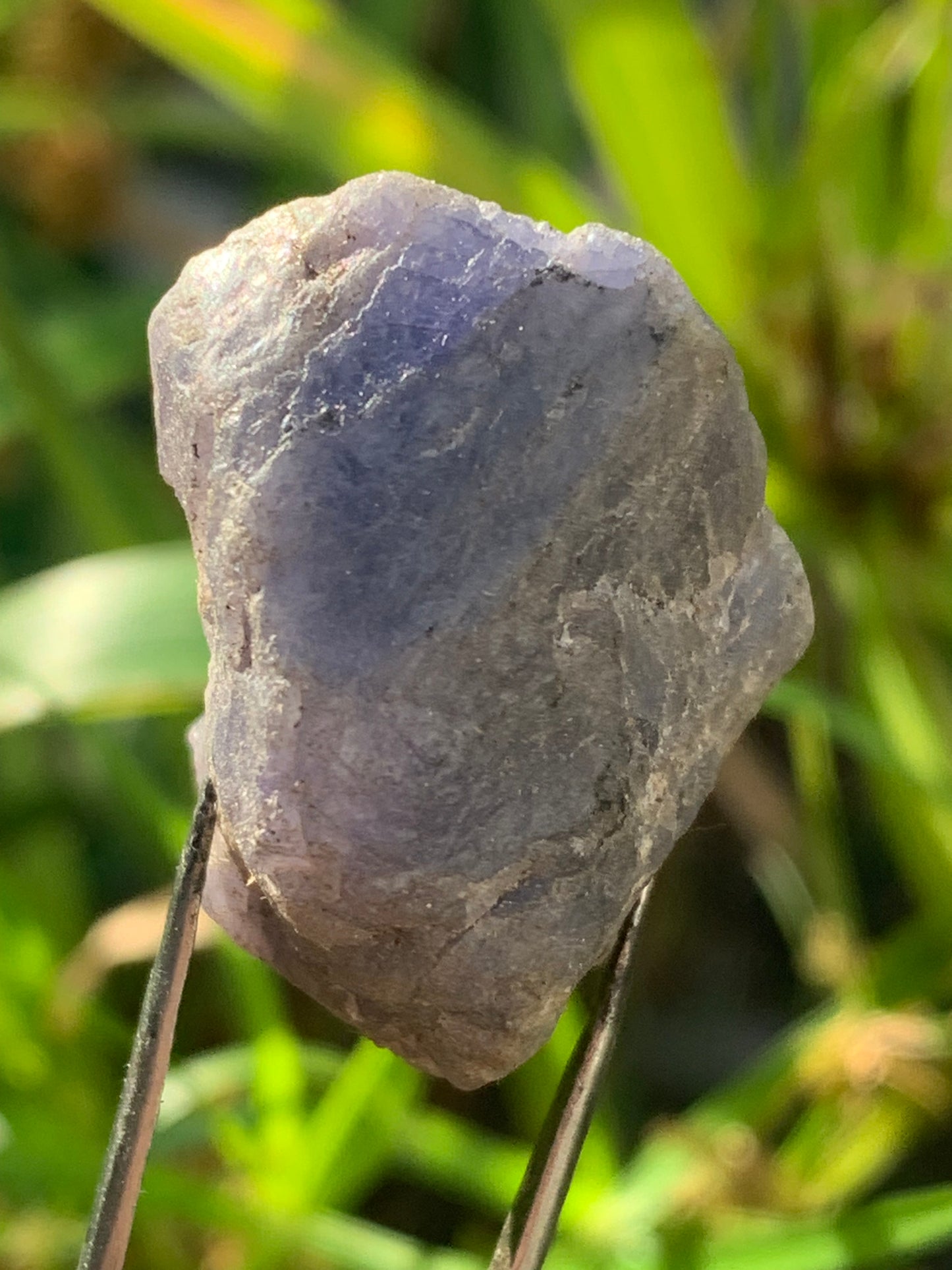 Tanzanite, spécimen brut de 32mm x21 x20 - 18 grammes. Parfait en collection, exposition, lapidage...