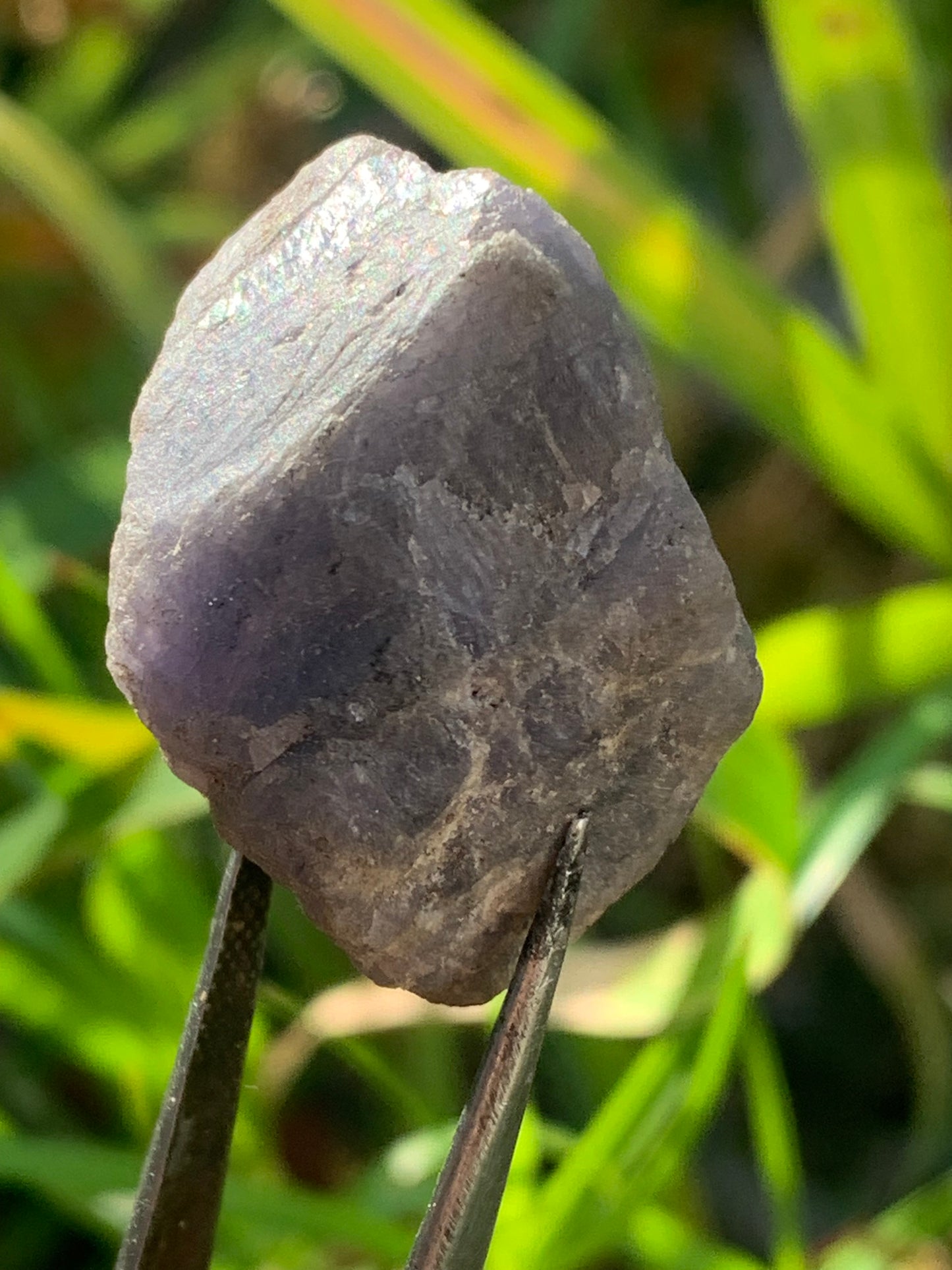 Tanzanite, spécimen brut de 32mm x21 x20 - 18 grammes. Parfait en collection, exposition, lapidage...