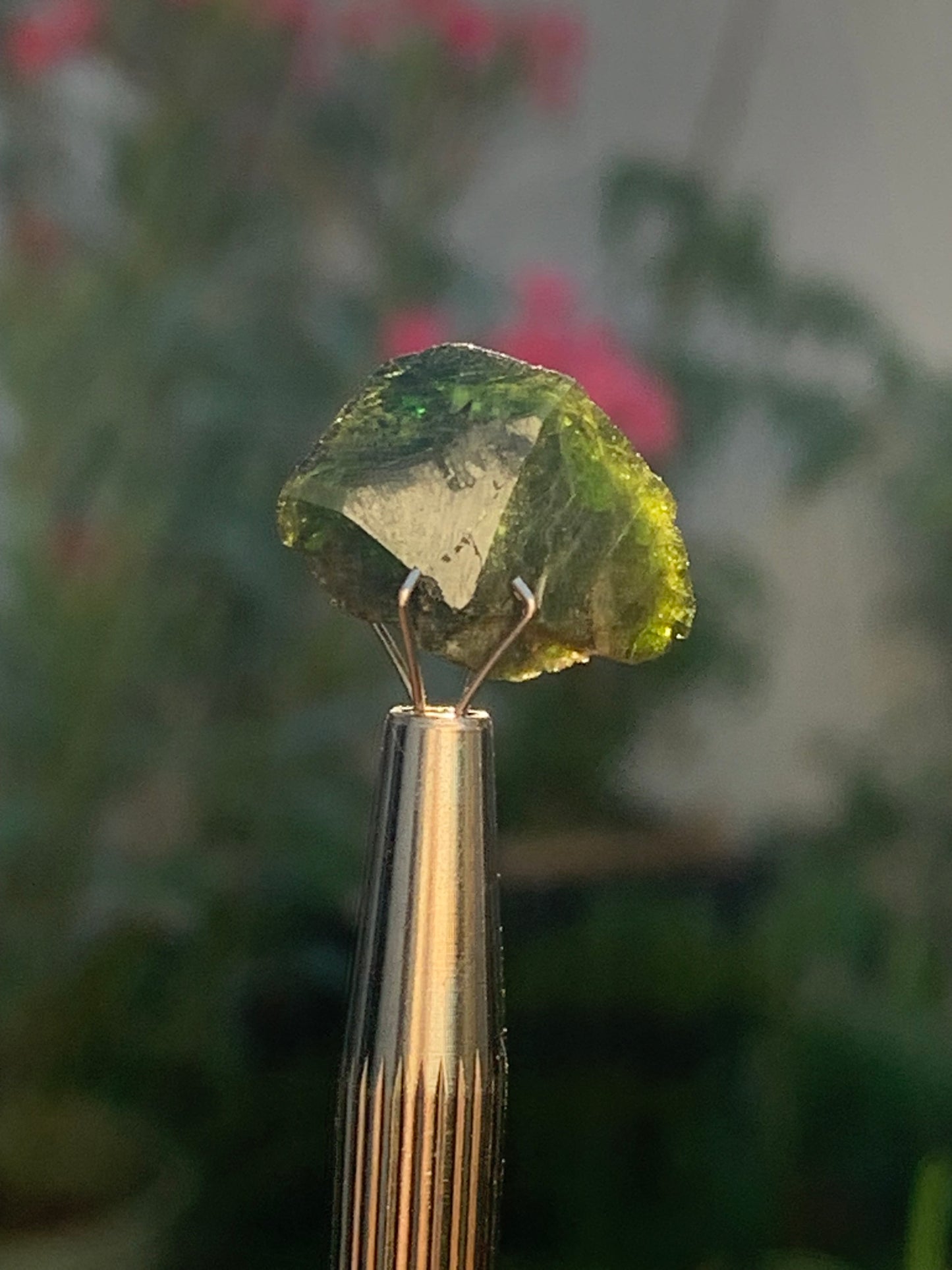 Vésuvianite dit aussi Idocrase (peu connue), spécimen de 19 mm x 14 x 8 - 2 grammes ! Superbe petite pièce !