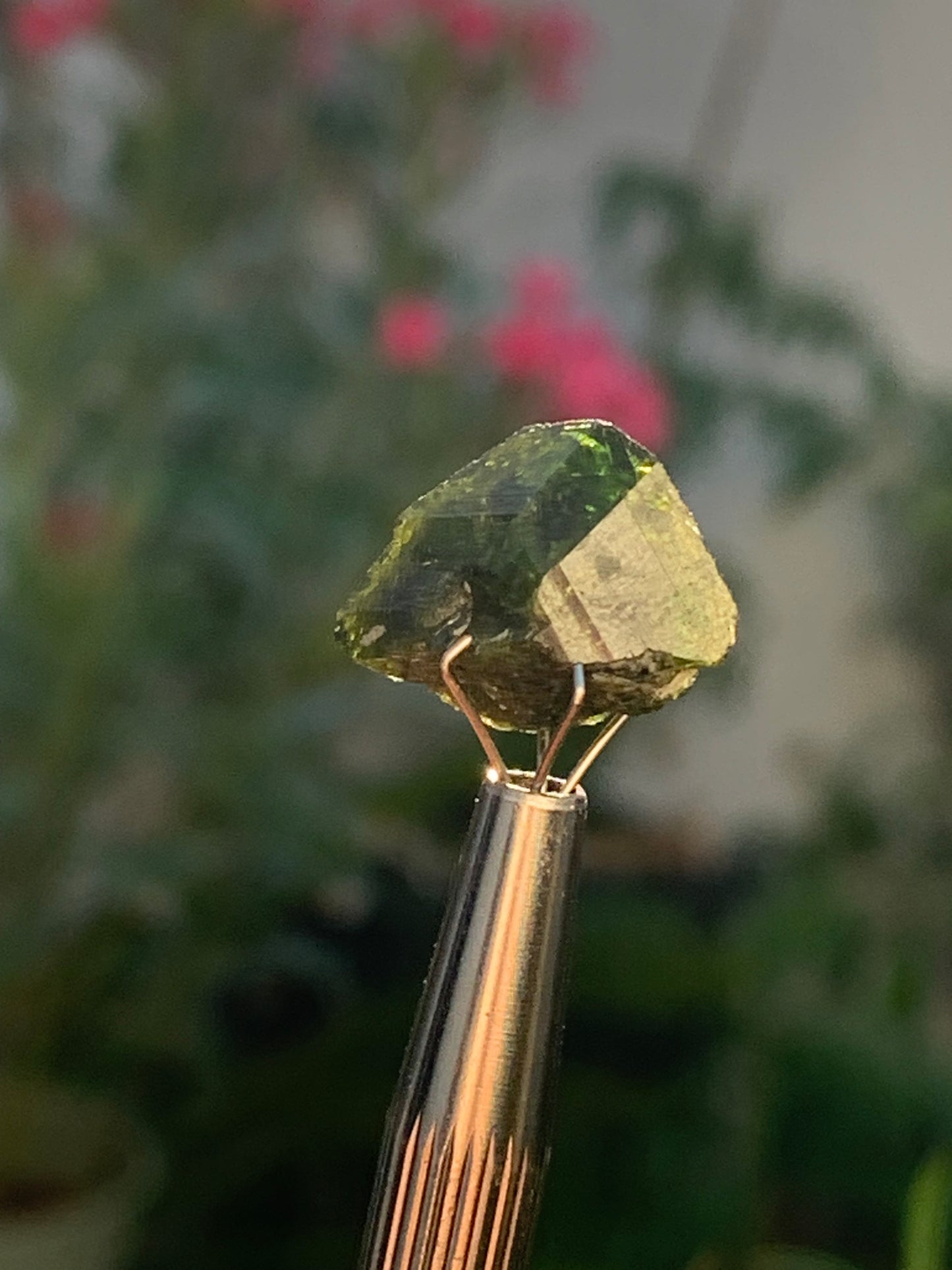 Vésuvianite dit aussi Idocrase (peu connue), spécimen de 19 mm x 14 x 8 - 2 grammes ! Superbe petite pièce !