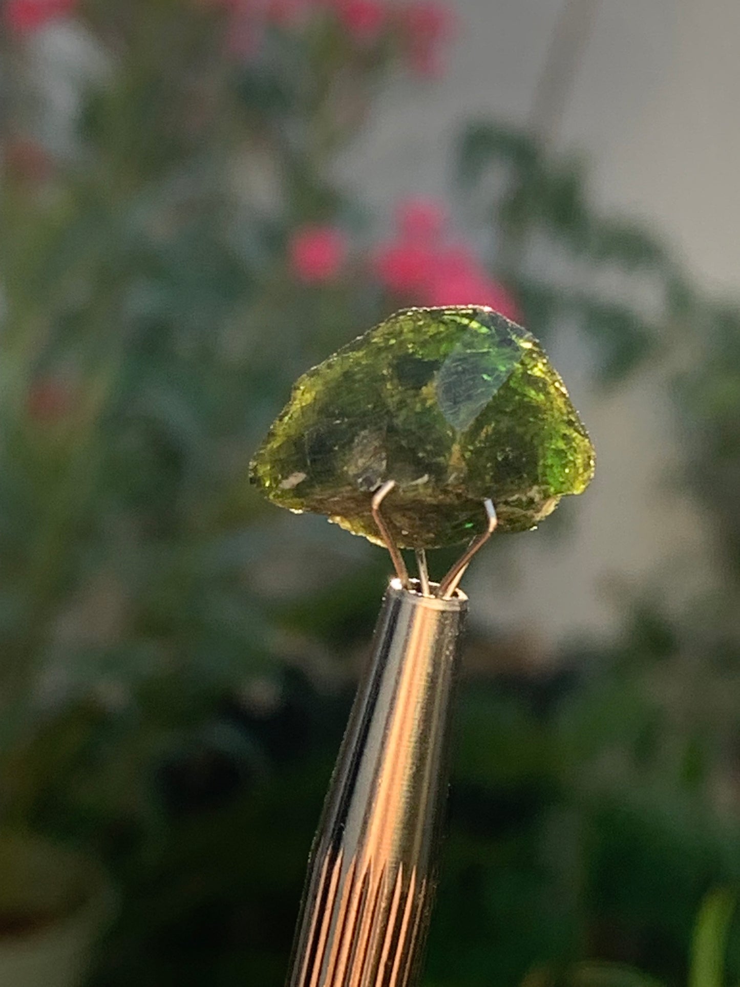 Vésuvianite dit aussi Idocrase (peu connue), spécimen de 19 mm x 14 x 8 - 2 grammes ! Superbe petite pièce !