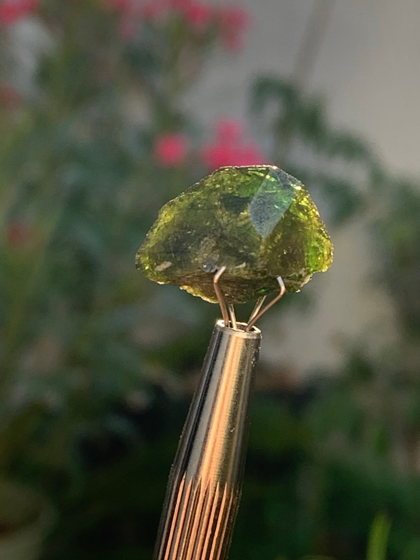 Vésuvianite dit aussi Idocrase (peu connue), spécimen de 19 mm x 14 x 8 - 2 grammes ! Superbe petite pièce !