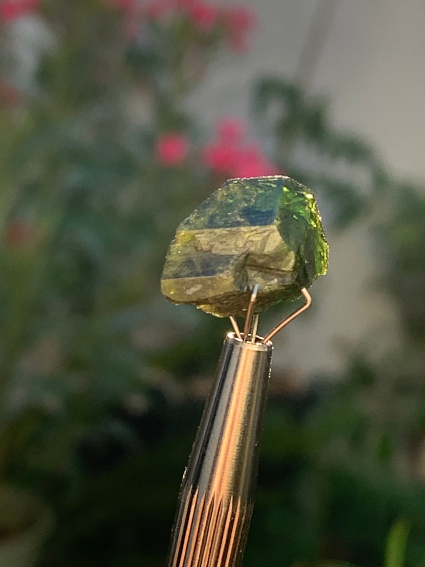 Vésuvianite dit aussi Idocrase (peu connue), spécimen de 19 mm x 14 x 8 - 2 grammes ! Superbe petite pièce !