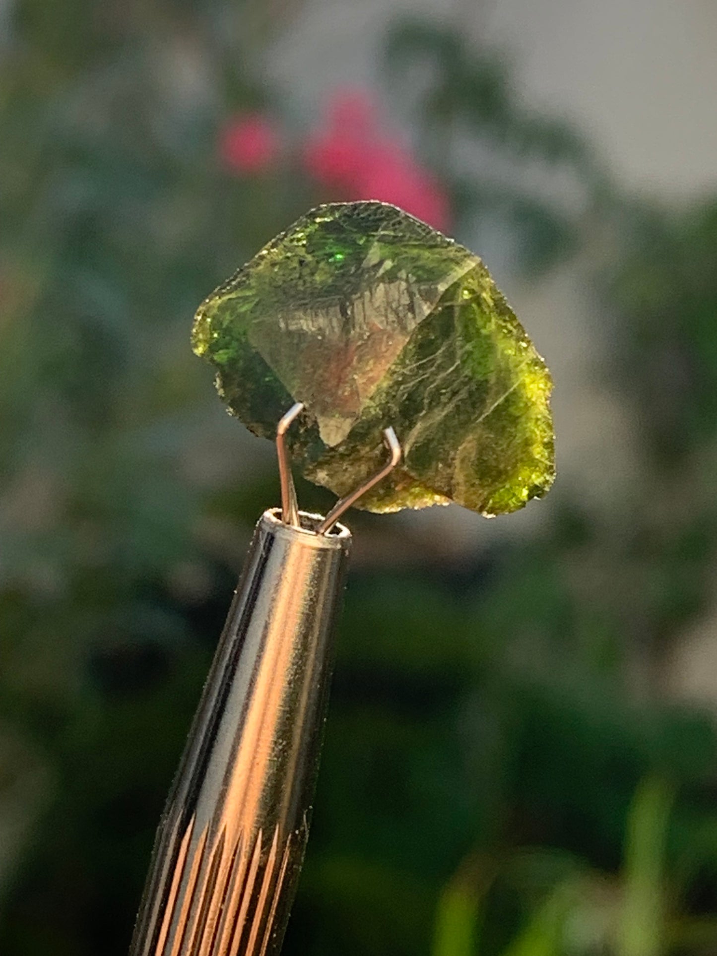 Vésuvianite dit aussi Idocrase (peu connue), spécimen de 19 mm x 14 x 8 - 2 grammes ! Superbe petite pièce !