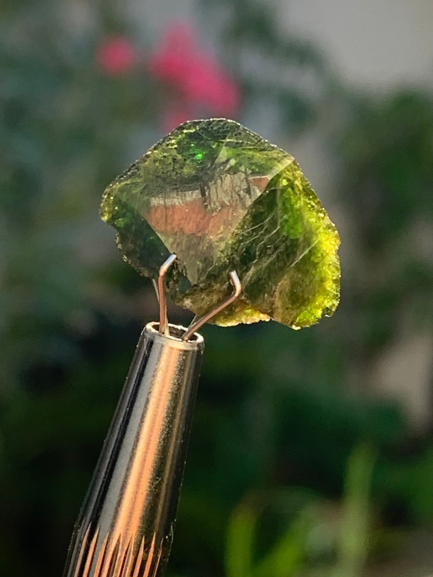 Vésuvianite dit aussi Idocrase (peu connue), spécimen de 19 mm x 14 x 8 - 2 grammes ! Superbe petite pièce !
