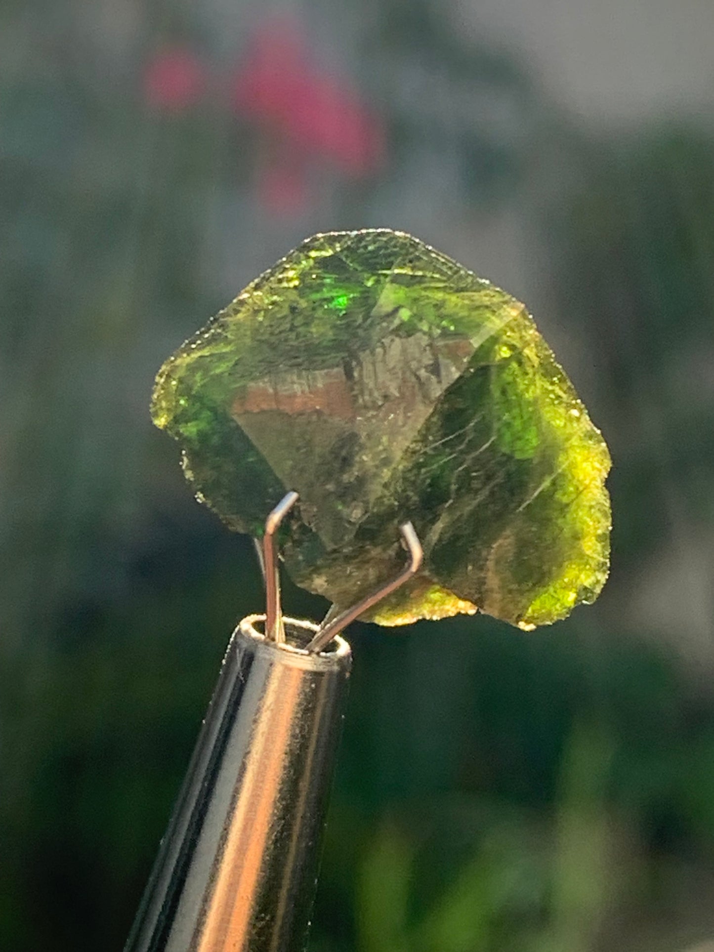 Vésuvianite dit aussi Idocrase (peu connue), spécimen de 19 mm x 14 x 8 - 2 grammes ! Superbe petite pièce !