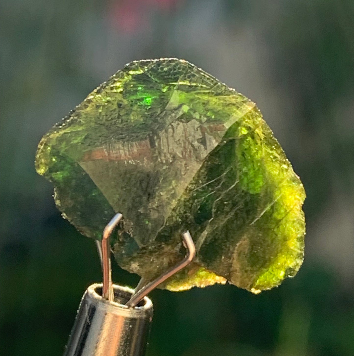 Vésuvianite dit aussi Idocrase (peu connue), spécimen de 19 mm x 14 x 8 - 2 grammes ! Superbe petite pièce !