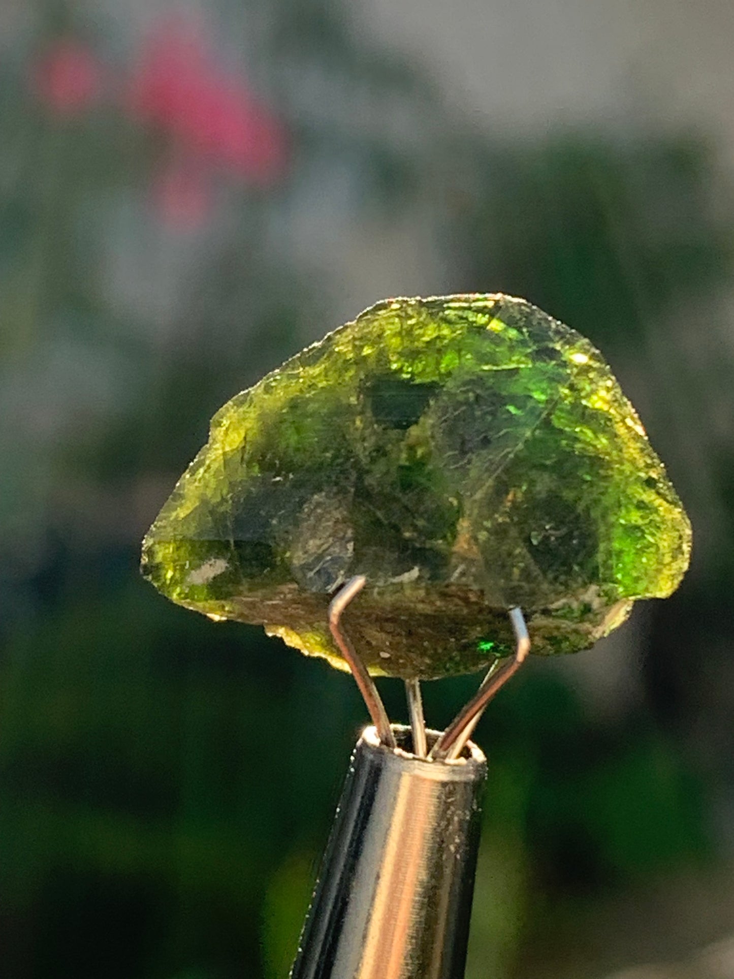 Vésuvianite dit aussi Idocrase (peu connue), spécimen de 19 mm x 14 x 8 - 2 grammes ! Superbe petite pièce !