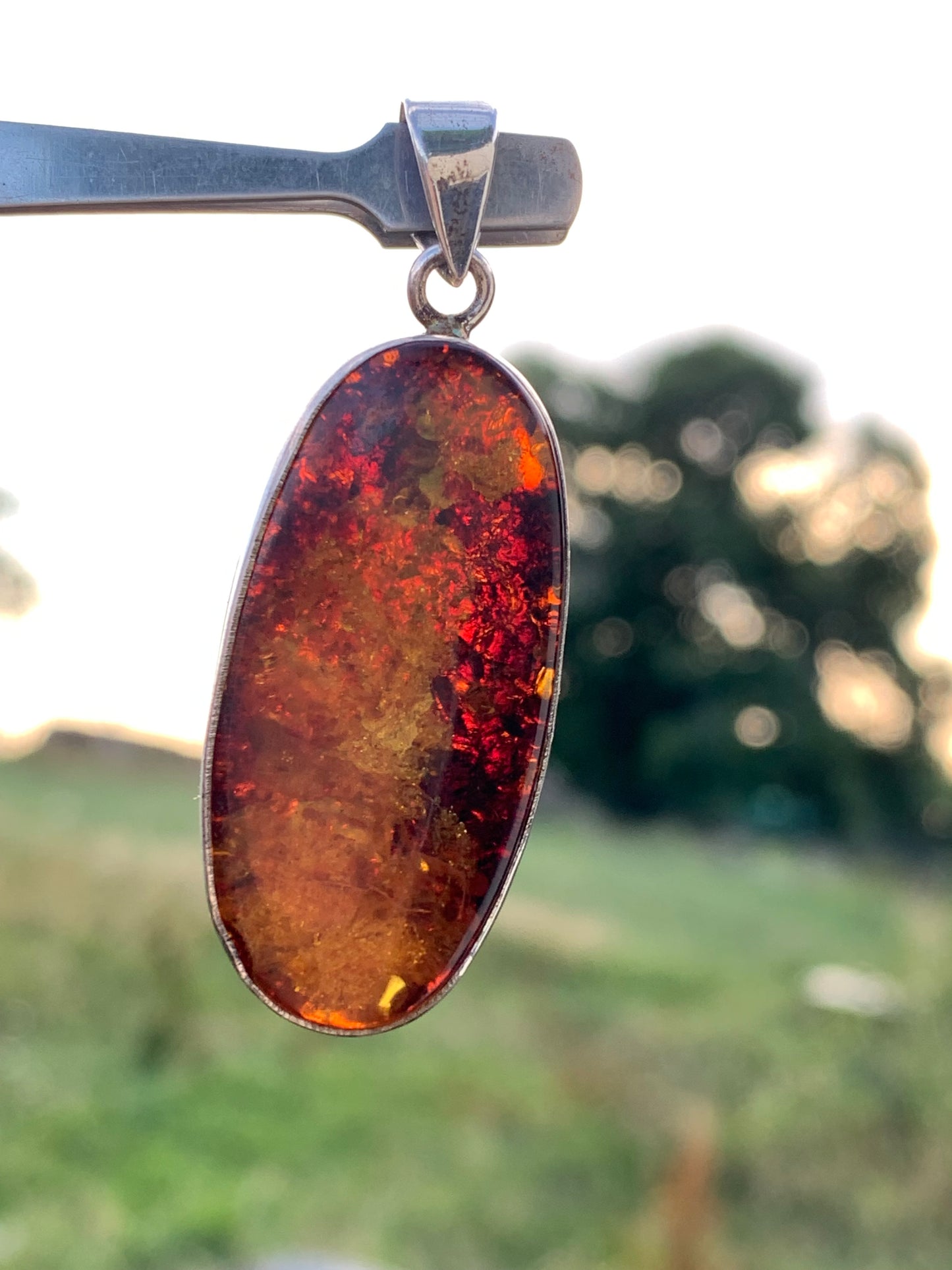 Ambre, pendentif en Argent de 52 x 18 x6 mm / 6,3 grammes, vendu avec cordon noir coulissant de 40 à 70 cm !